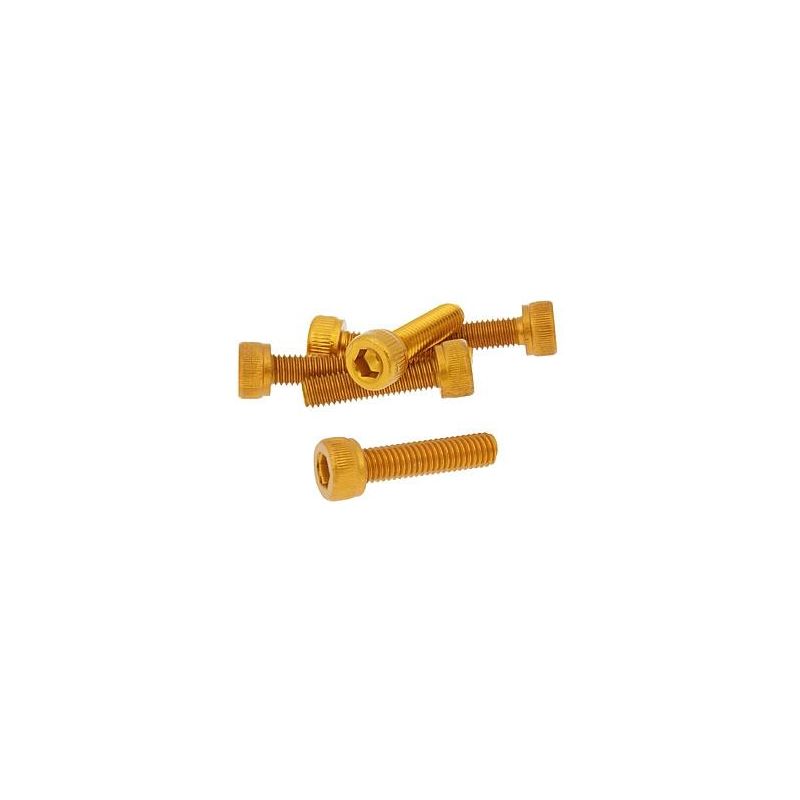 Skruvkit Olika storlekar 6-pack Guld