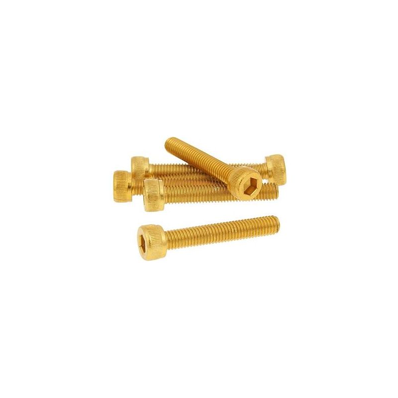 Skruvkit Olika storlekar 6-pack Guld