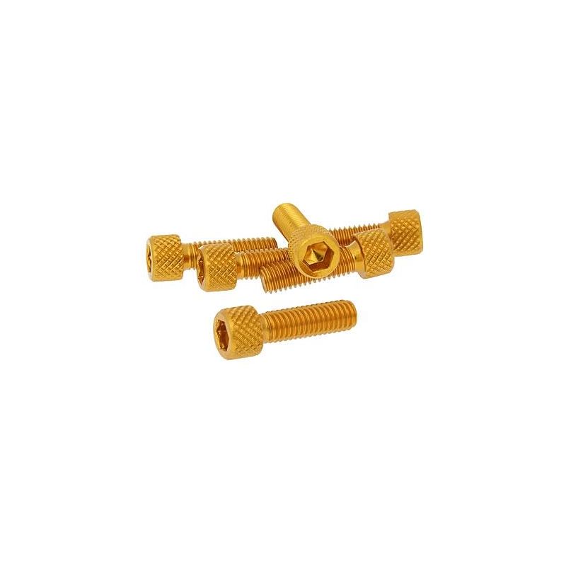 Skruvkit Olika storlekar 6-pack Guld