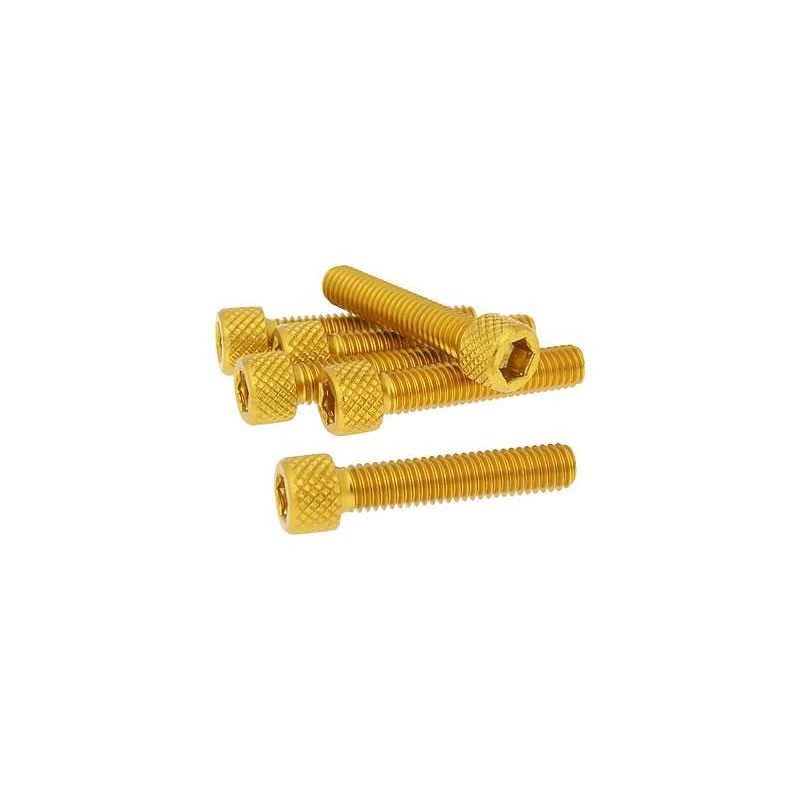 Skruvkit Olika storlekar 6-pack Guld