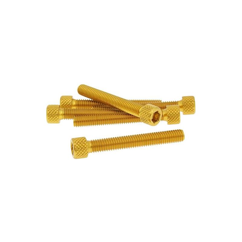 Skruvkit Olika storlekar 6-pack Guld