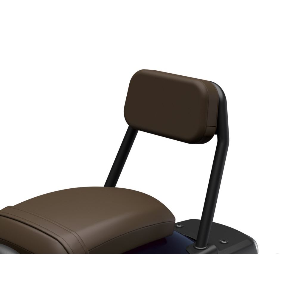 Honda CMX1100 Ryggstöd Passagerare VÄLJ FÄRG