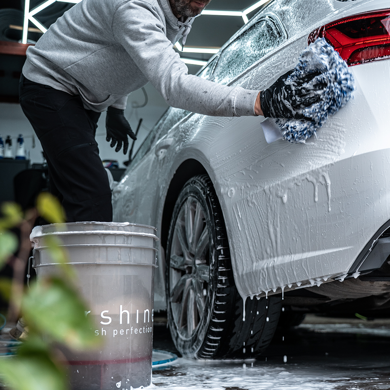 Tershine Tvätthandske