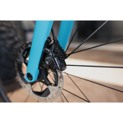 DEMO BMC Roadmachine 01 TWO, Dura Ace, Landvägcykel 2024