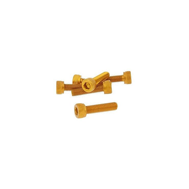 Skruvkit Olika storlekar 6-pack Guld
