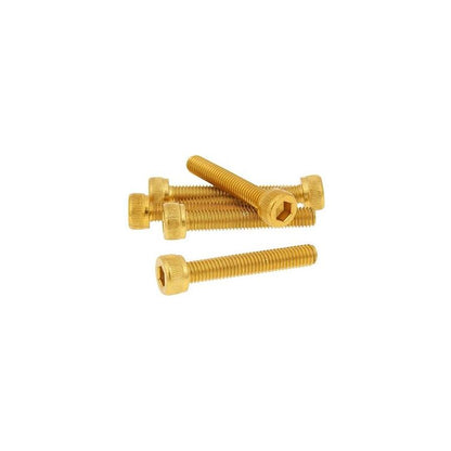 Skruvkit Olika storlekar 6-pack Guld