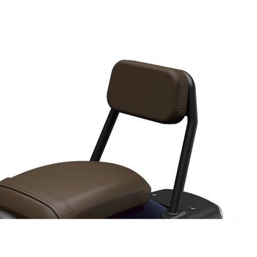 Honda CMX1100 Ryggstöd Passagerare VÄLJ FÄRG